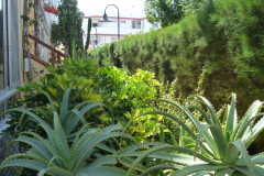 P1010565