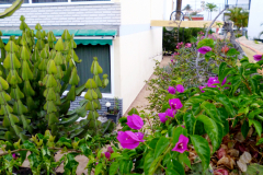 P1010584