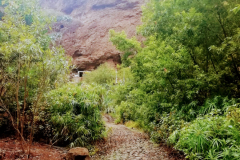 IMG-20221016-WA0003