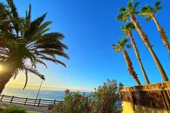 IMG_20220905_072433_545