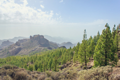 Roque-nublo