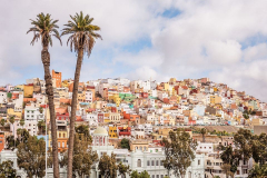 las-palmas-gsp-jpg-63488-